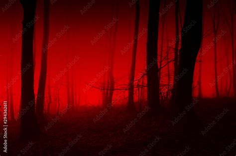 horror forest scene, red light in scary night landscape Stock Photo | Adobe Stock