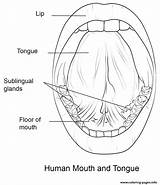 Human Mouth And Tongue Coloring Page Printable sketch template