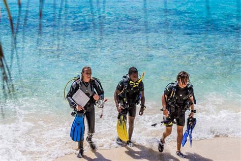 Diving - Bamboo Bonaire