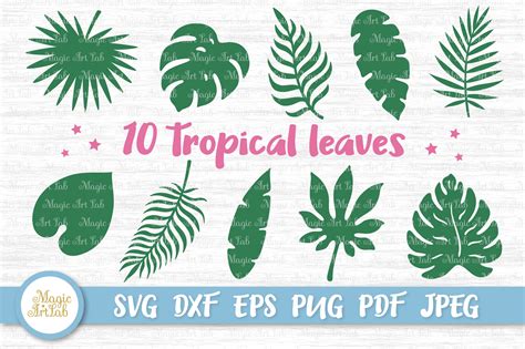 Tropical leaves svg, Tropical party decor svg, Jungle leaves svg By MagicArtLab | TheHungryJPEG