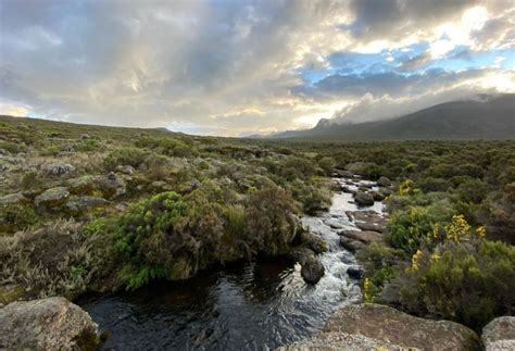 Mount Kilimanjaro's five surprising climate zones