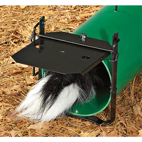 Spray - proof Skunk Trap - 175232, Traps & Trapping Supplies at Sportsman's Guide