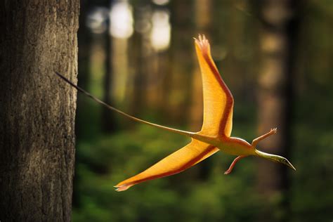 Sharovipteryx, the Triassic reptile with leg-wings | Earth Archives