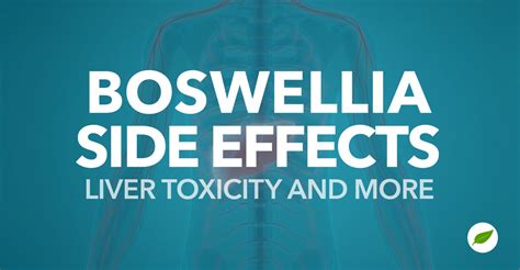 Boswellia Side Effects Liver Toxicity, Miscarriage & More