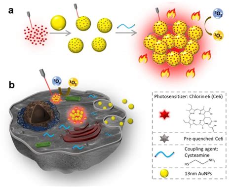 Aggregated gold nanoparticle conjugates for multimodal imaging and synergistic phototherapy