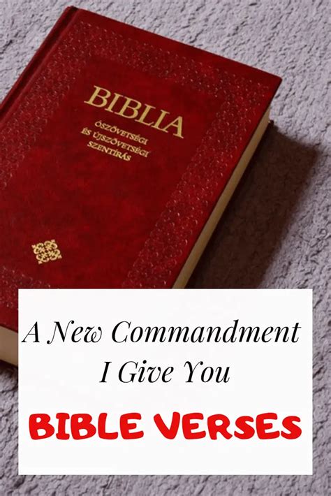 A New Commandment I Give You: What Did Jesus Mean? Bible Verses