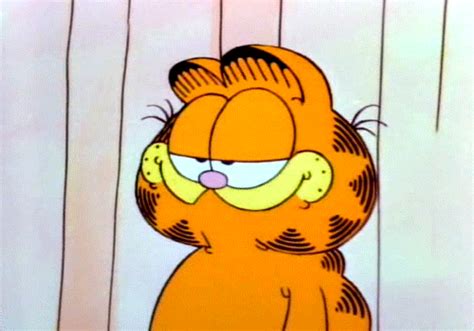 Garfield GIFs - Find & Share on GIPHY