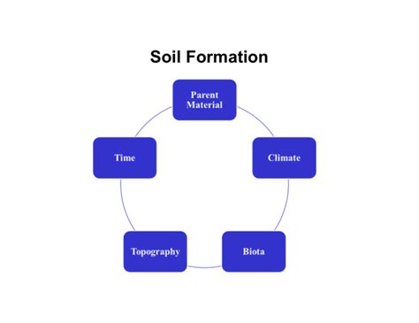 Soil formation