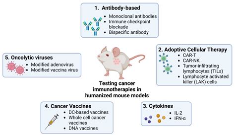 Pharmaceutics | Free Full-Text | Emerging Preclinical Applications of ...