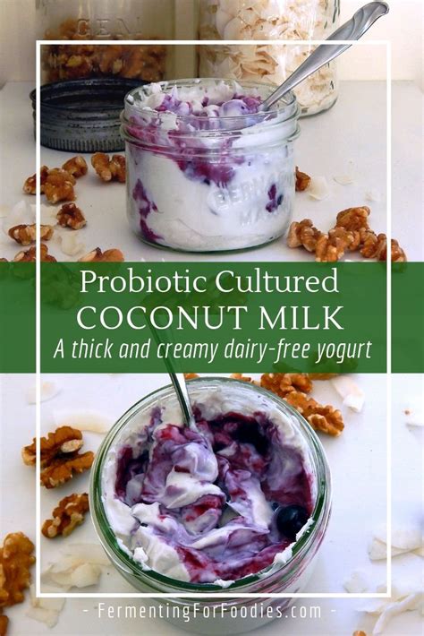 How To Make Coconut Yogurt (Vegan & GF) - Fermenting for Foodies