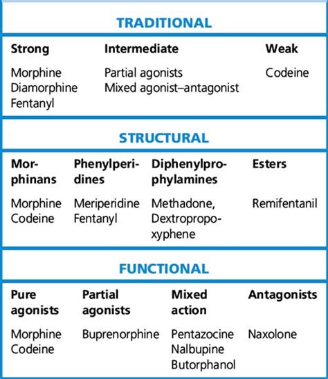 Pain and analgesics | Basicmedical Key