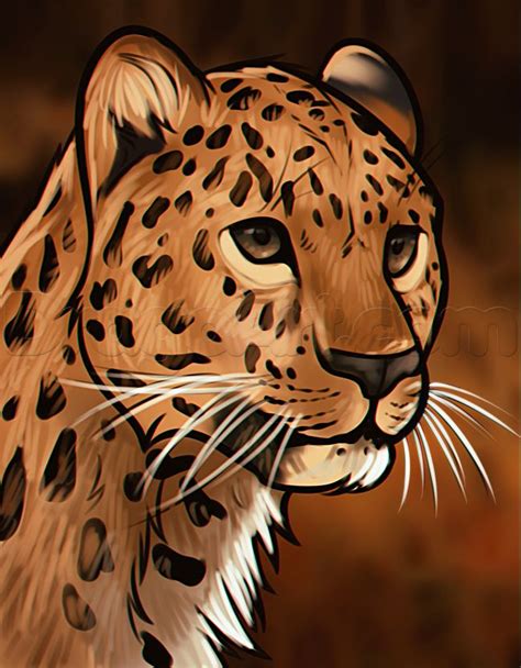 DRAWING FOR BEGINNERS how to draw a leopard head | Guided drawing, Leopard drawing, Animals