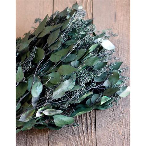 Preserved Seeded Eucalyptus Branches - Greens