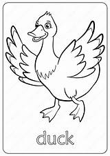 Free Printable Duck Coloring Pages sketch template