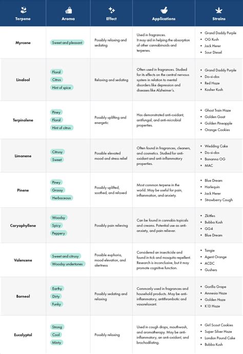 Cannabis Terpenes Chart & Guide for Beginners | NuggMD