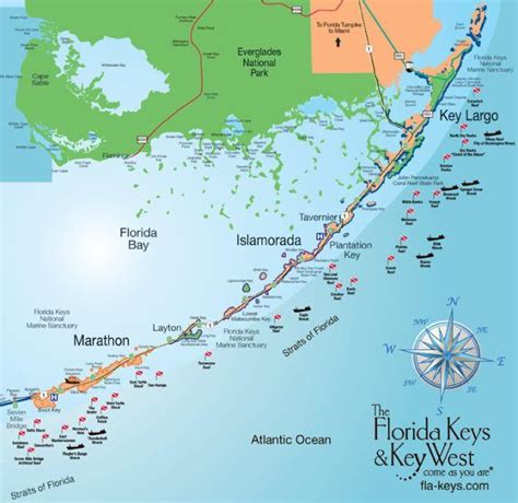 Florida Keys Travel Guide: Everything You Need To Know | under the sea | Florida keys, Florida ...