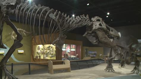 Cleveland Museum of Natural History 100th anniversary exhibit | wkyc.com