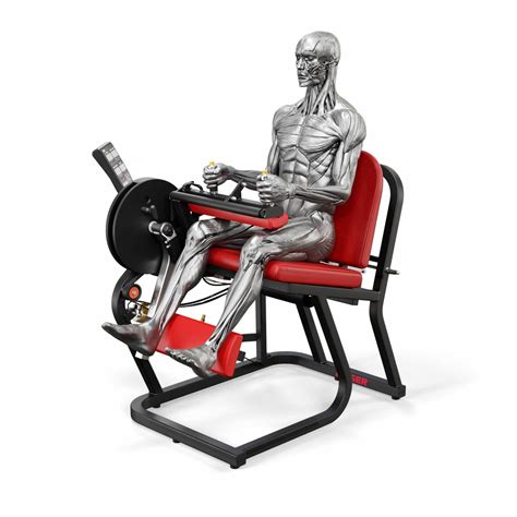 Seated Leg Curl Machine - Air250 | Keiser