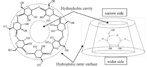 The Structure of Beta Cyclodextrin (β-CD) | Download Scientific Diagram