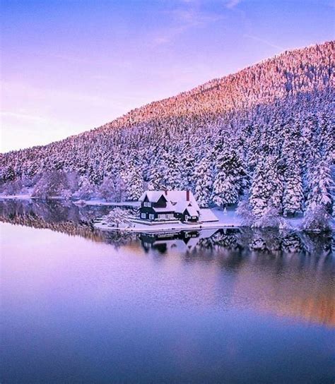 Pin van My Anh op WINTER IN GOLCUK LAKE BOLU TURKEY.