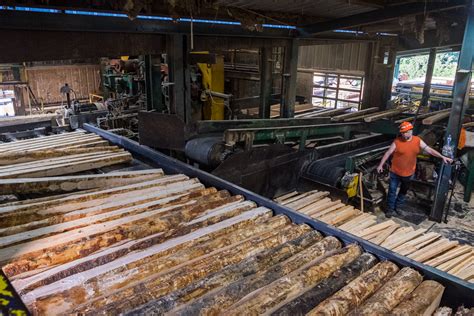 Photo Essay: A “Low-Tech” Lumber Mill Survives Automation Trend – Oregon Business