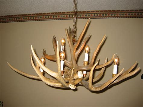 Mule Deer Antler Chandelier - 6 Light