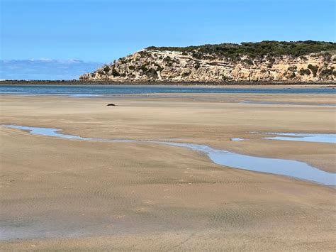 Barwon Heads attractions - Localista