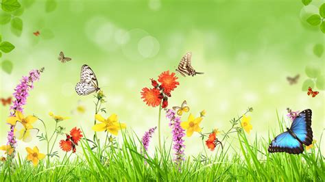 Spring, flowers, grass, butterfly, green background, creative design wallpaper | creative and ...