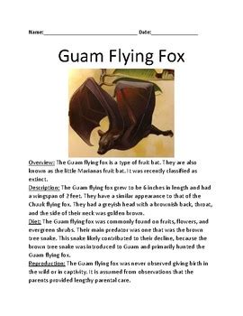 Guam flying fox - extinct bat - lesson article facts information questions