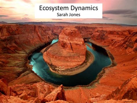 Ecosystem Dynamics