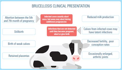 Merck | Brucellosis