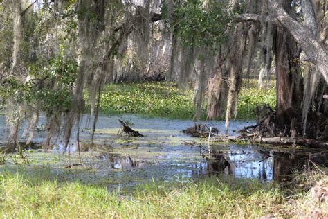 Jean Lafitte National Historical Park and Reserve - Christopher Ryan