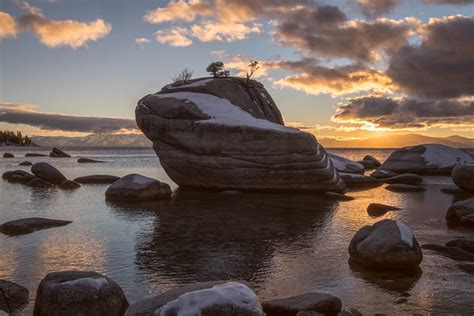 Bonsai Rock | Cheryl Lindo Jones | Flickr