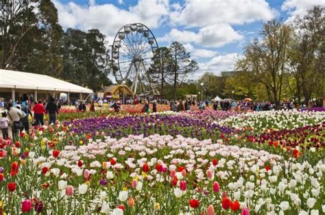 If You Love Flowers, You'll Surely Love Floriade | Where to go, Lonely planet, Flower garden design