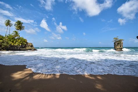 Gandoca Manzanillo Wildlife Refuge - Satta Lodge Visit Costa Rica