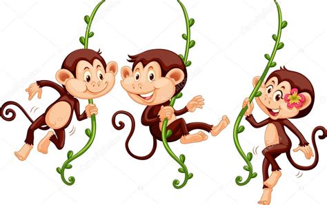 Three monkeys swinging on the vine Stock Vector by ©interactimages 96474610