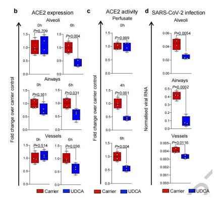 Occluding the ACE2 receptor, renders all mutants incapable of infection! – Creative Biomart Blog