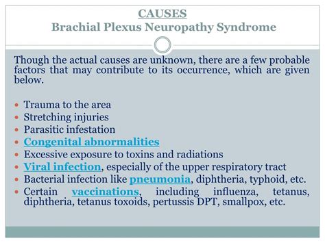 PPT - Brachial Plexus Neuropathy Syndrome : Causes, Symptoms, Daignosis ...