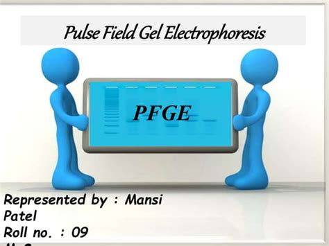 Pulse field gel electrophoresis(PFGE) | PPT