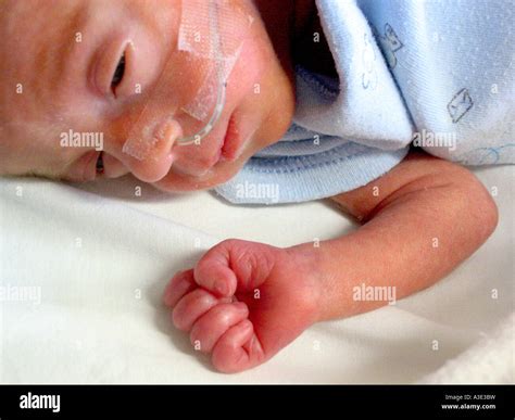 Premature baby boy born at 28 weeks gestation in an incubator wearing nasal cannula Stock Photo ...