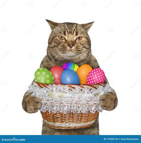 Gato Con Canasta De Huevos De Pascua Foto de archivo - Imagen de gato ...