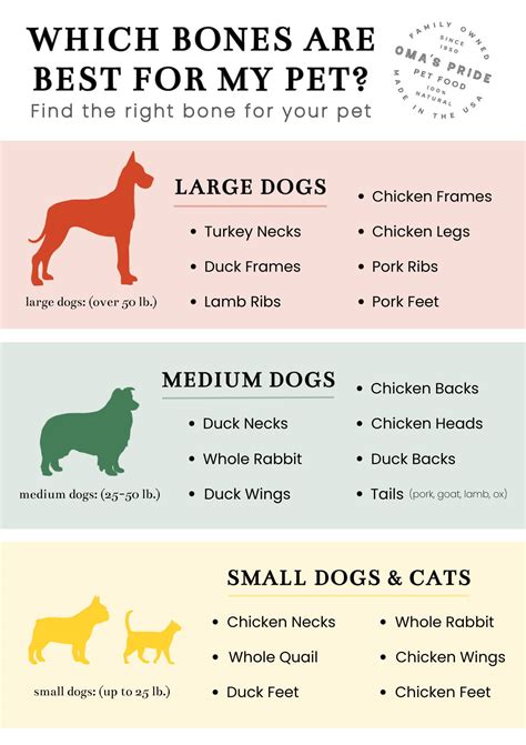 Raw Bones for Dogs 101: All You Need to Know