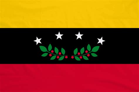 Bandera del Estado Táchira Venezuela Flag with Eyelets