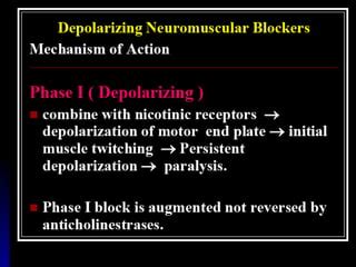 Neuromuscular Blocking Agents Mechanism Of Action