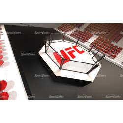 Ufc Fighting Cage