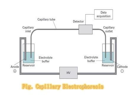 Capillary Electrophoresis: Introduction, instrumentation, procedure