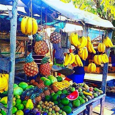 Farm Up Jamaica Caribbean Farmers Market At The Grace Jamaican Jerk Festival Queens NY - Home ...