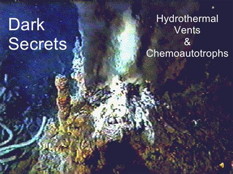 Energy Flow In Bioshpere - Chemoautotrophs