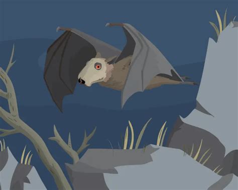 Hammer-Headed Bat - Facts, Diet, Habitat & Pictures on Animalia.bio