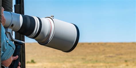 How to Use Your Telephoto Lens Effectively: 8 Tips